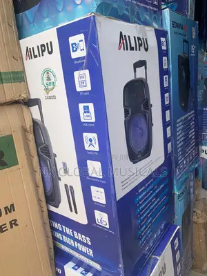 Allipu 15 Inches Big Body Public Address System
