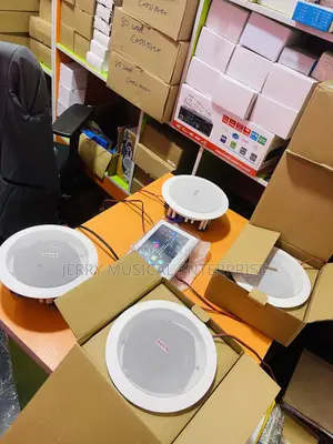 Ceiling Speakers With 7inches in Wall Amplifier