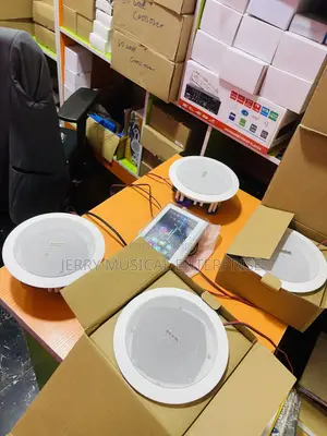 Wi-Fi 2zone Ceiling Speakers With in Wall Amplifier