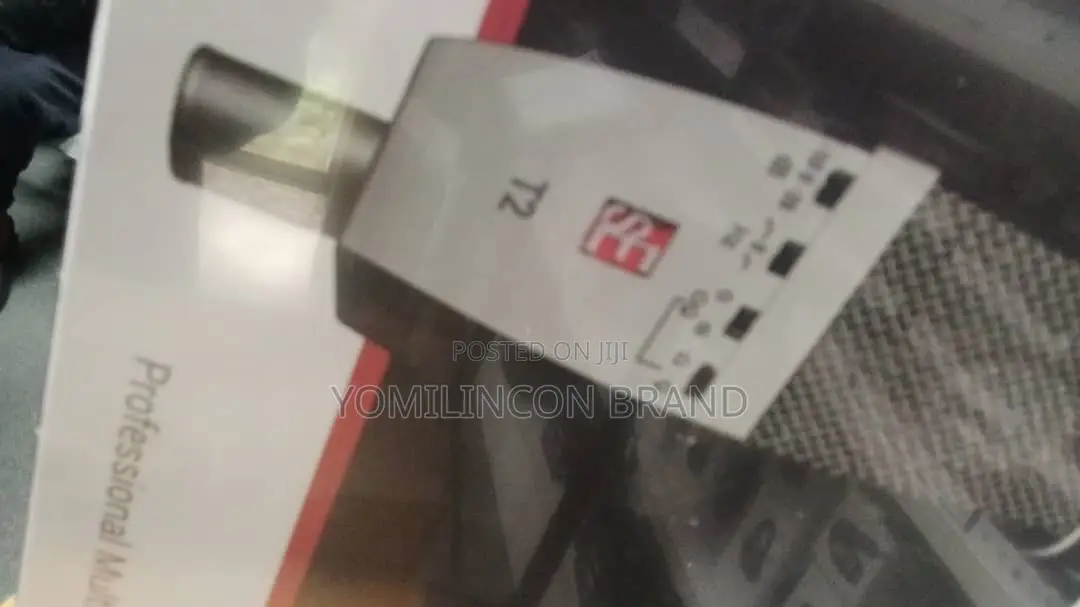 Se Electronics T2 Condenser Microphone
