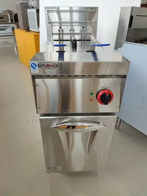 Commercial Standard Standing Deep Fryer 2 Basket 40liter