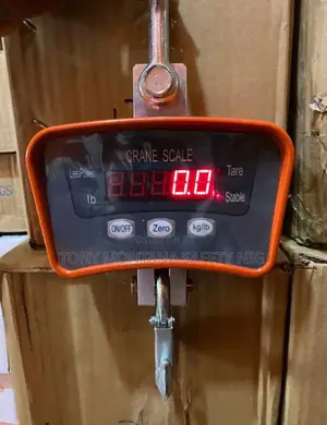 500kg Chargeable Crane Scale