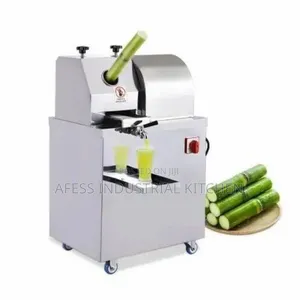 Automatic Stainless Steel Sugarcane Extractor