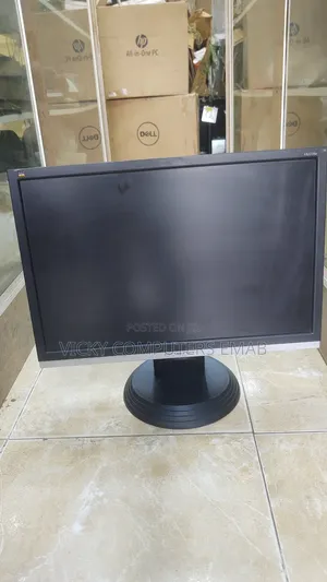Computer Monitor