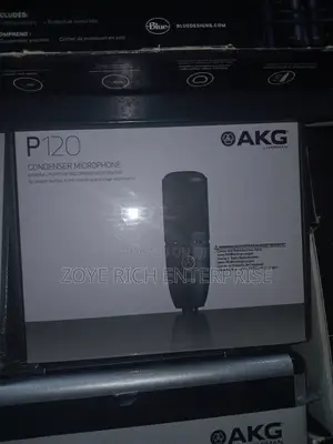 AKG Microphone