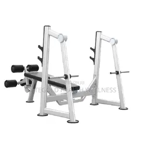 Decline Bench (DHZ Brand) U2041