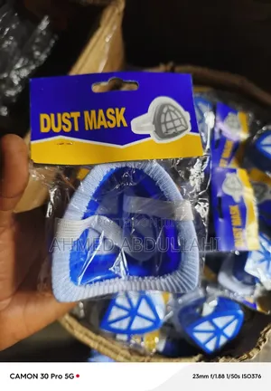 Safety Dust Mask
