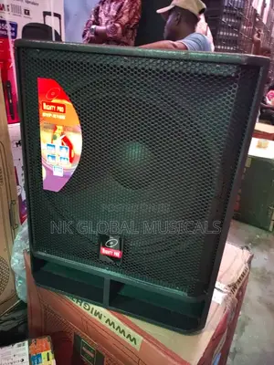 Mighty Audio Single Subwoofer