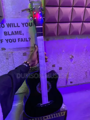 Acoustic Box Guitar