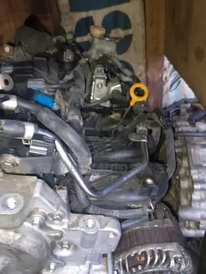Nissan Juke Turbo 2015/2018 1.6L 4 Cylinder