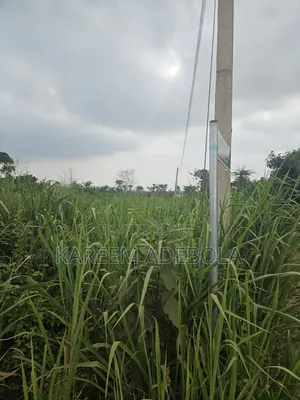 Distress Residential Land at Katampe Extension Abuja