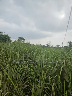 Mass Housing Land at Guzape 2 Abuja