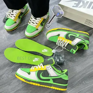 Nike Sb Dunk Sneakers