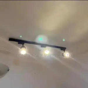 Ceiling Led Track Light 3in1