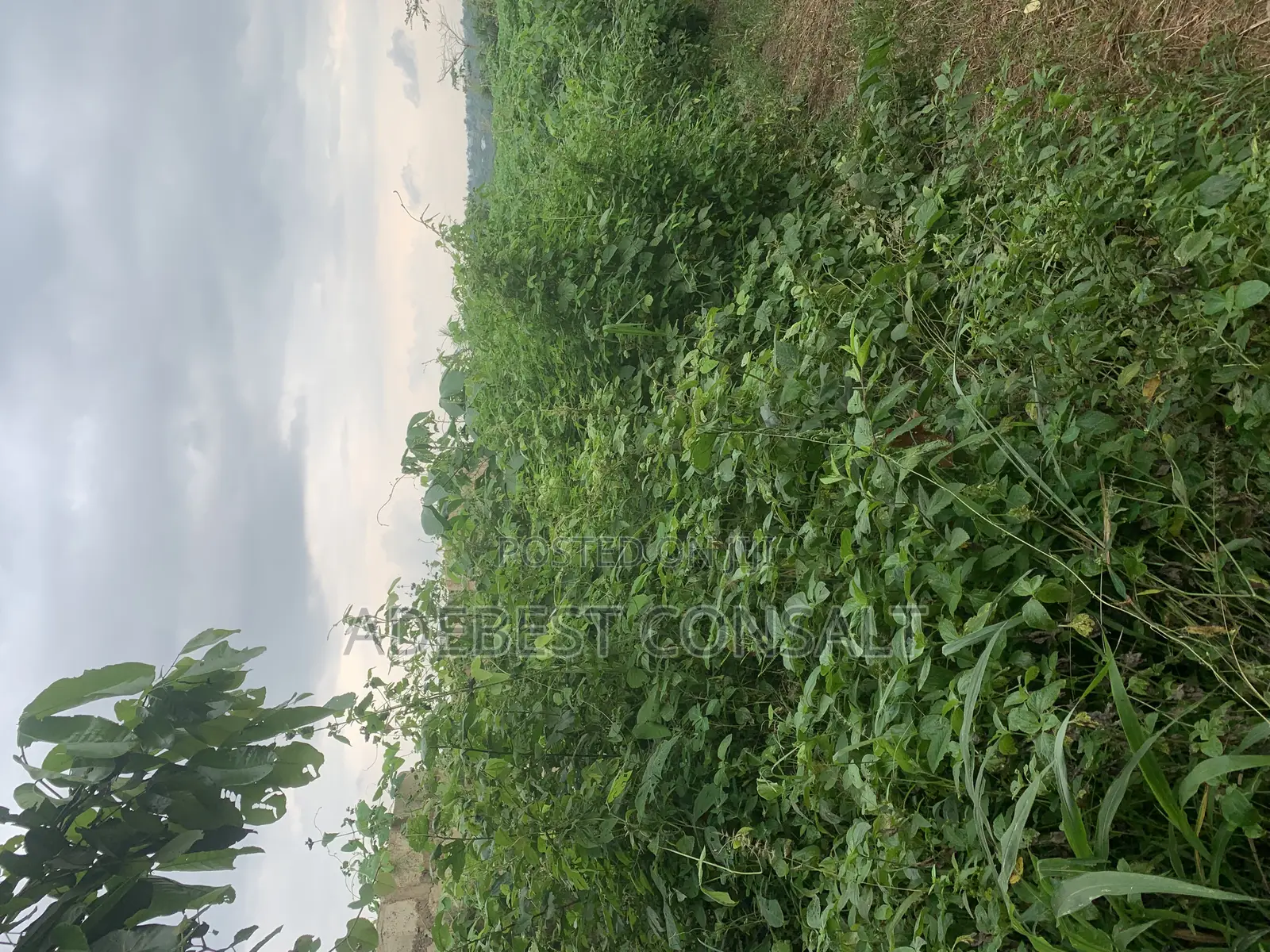 A Plot of Land for at Diamond Estate and Lamini