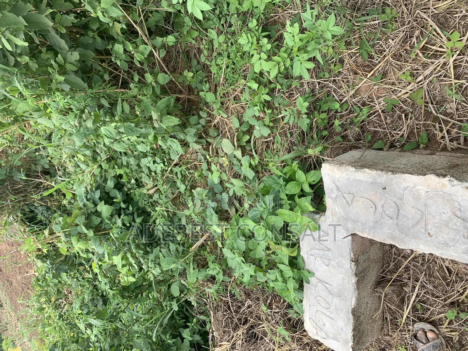 A Plot of Land for at Diamond Estate and Lamini