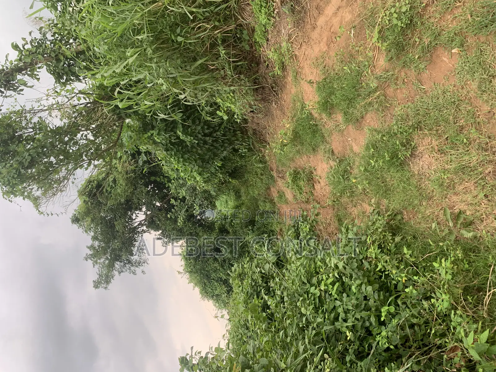 A Plot of Land for at Diamond Estate and Lamini