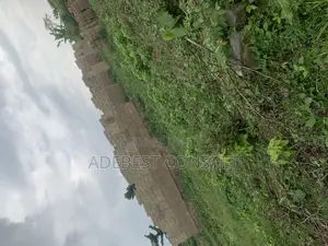 A Plot of Land for at Diamond Estate and Lamini