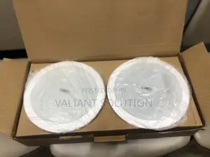 Bluetooth Ceiling Speaker