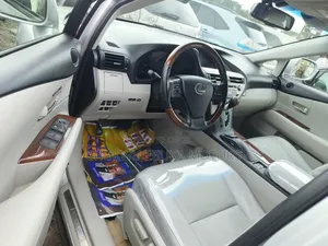 Lexus RX 350 2010 Silver