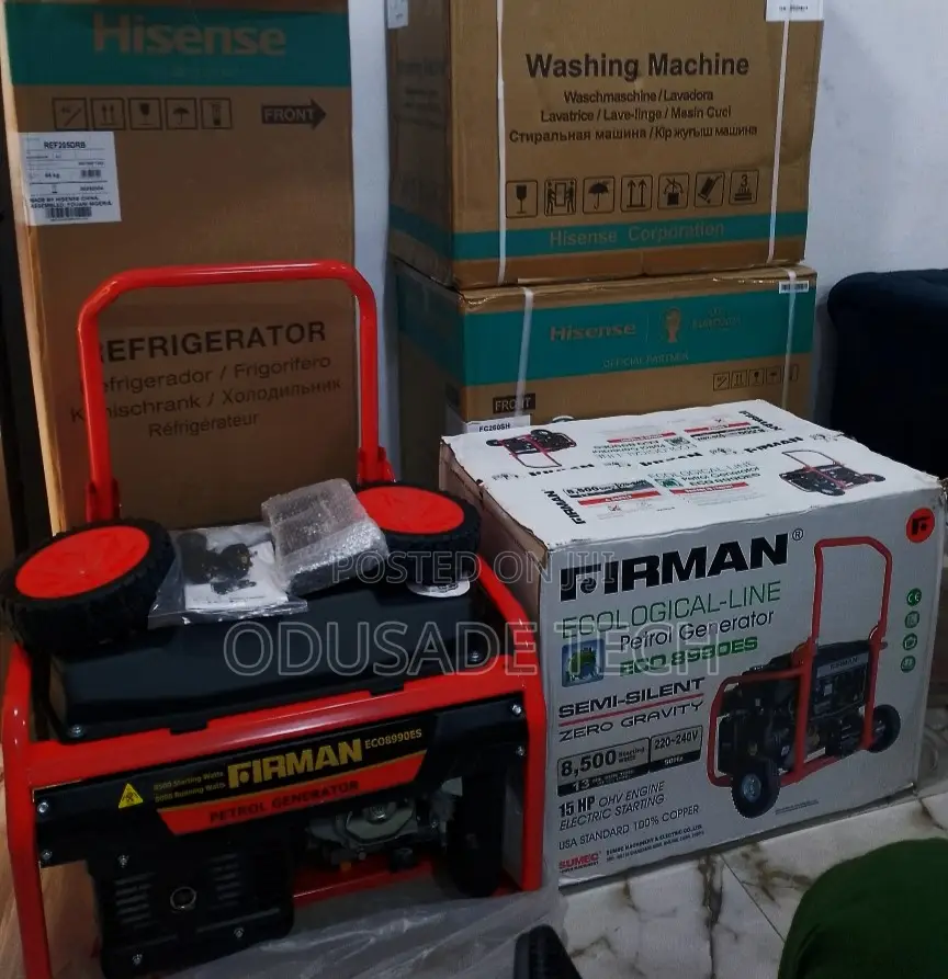 Functional Eco 8900es 8.5kva Generator