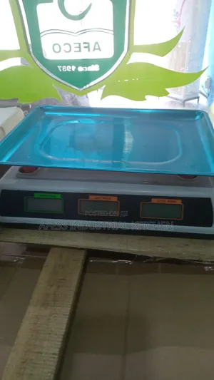Electric 40kg Scale