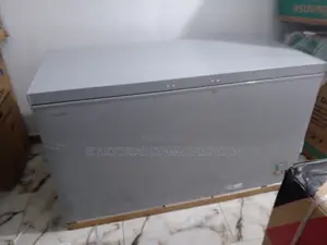 Dureable Hisense 42olitres Chest Freezer 