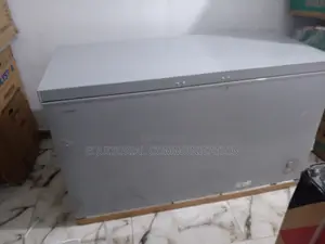 Reliable Hisense 420L Chest Freezer Silver 
