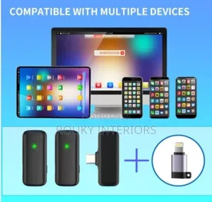 2 in 1 Wireless Microphone