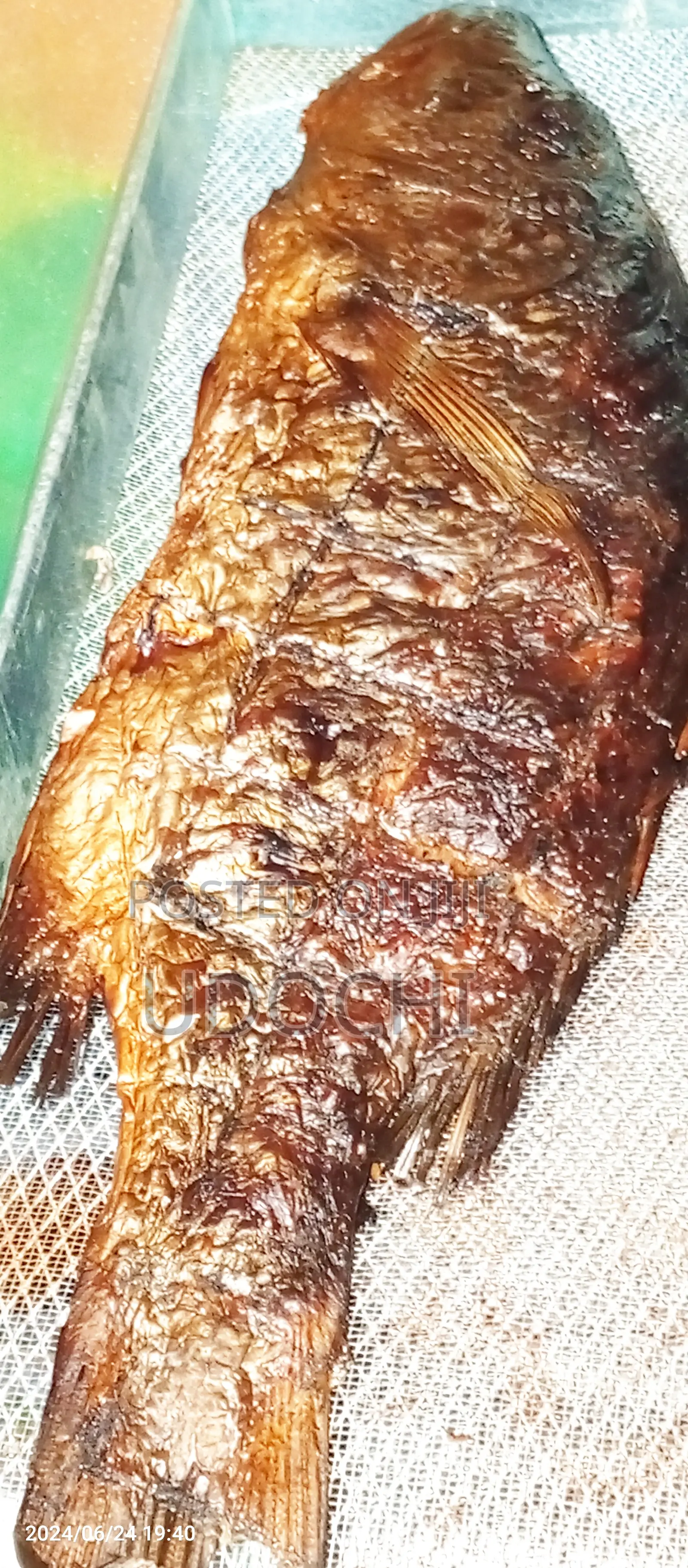 Red Snapper