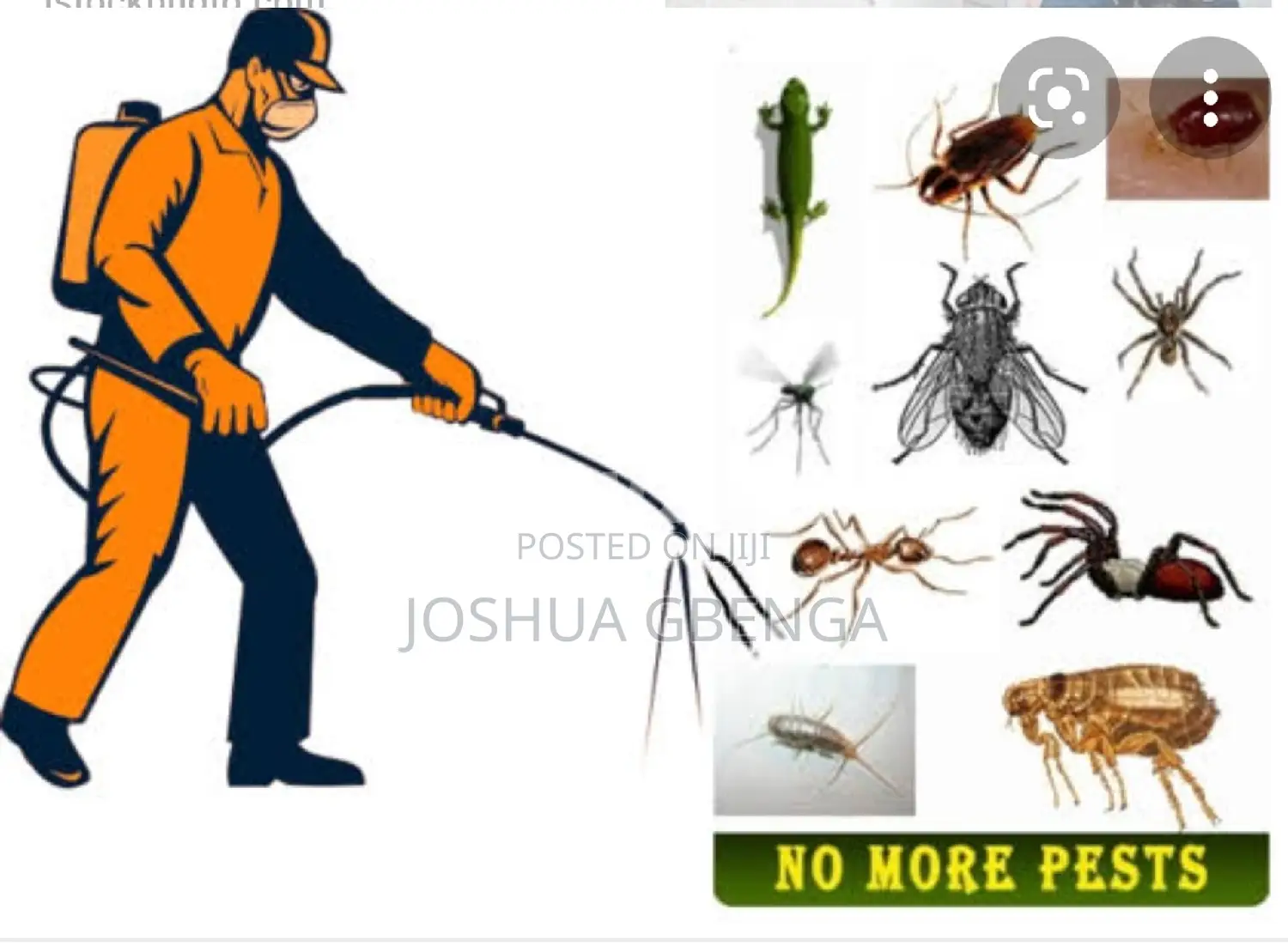 Fumigation