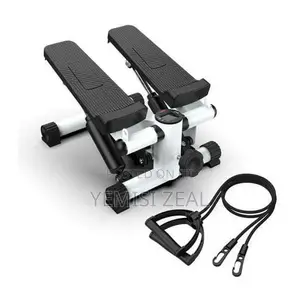Taggy Mini Gym Stepper