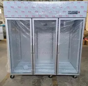 3 Door Stainless Steel Display Freezer