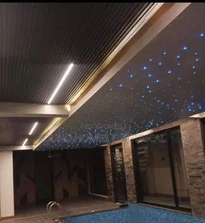 Standard Fibre Optic Led Light