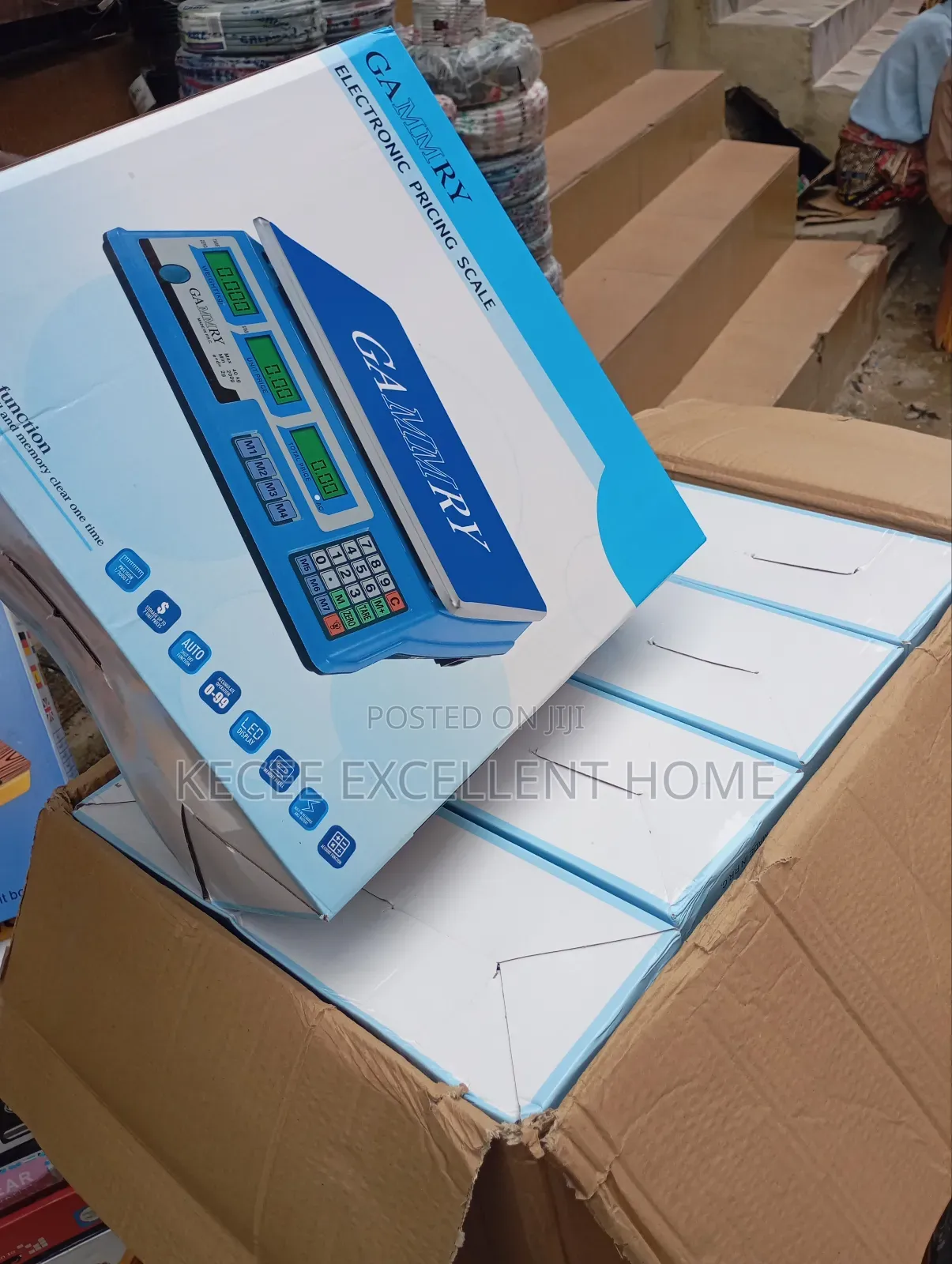 Electronic Gammry Scale