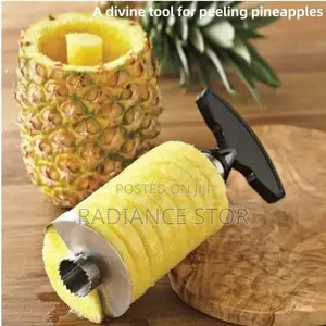 Pineapple Stainless Steel Peeler/Slicer/Cutter