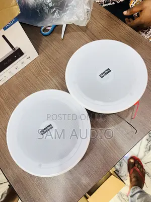 Surpass Frameless 2 in 1 Bluetooth Ceiling Speaker