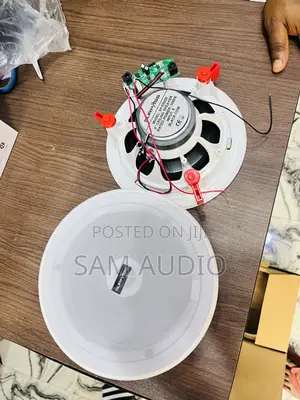 Surpass Frameless 2 in 1 Bluetooth Ceiling Speaker