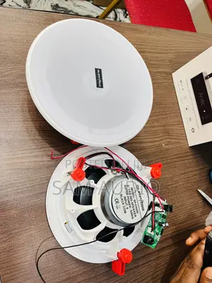 Surpass Frameless 2 in 1 Bluetooth Ceiling Speaker