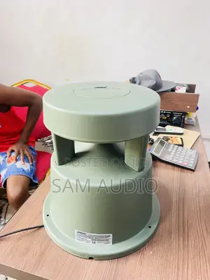 BOSE Garden Speaker