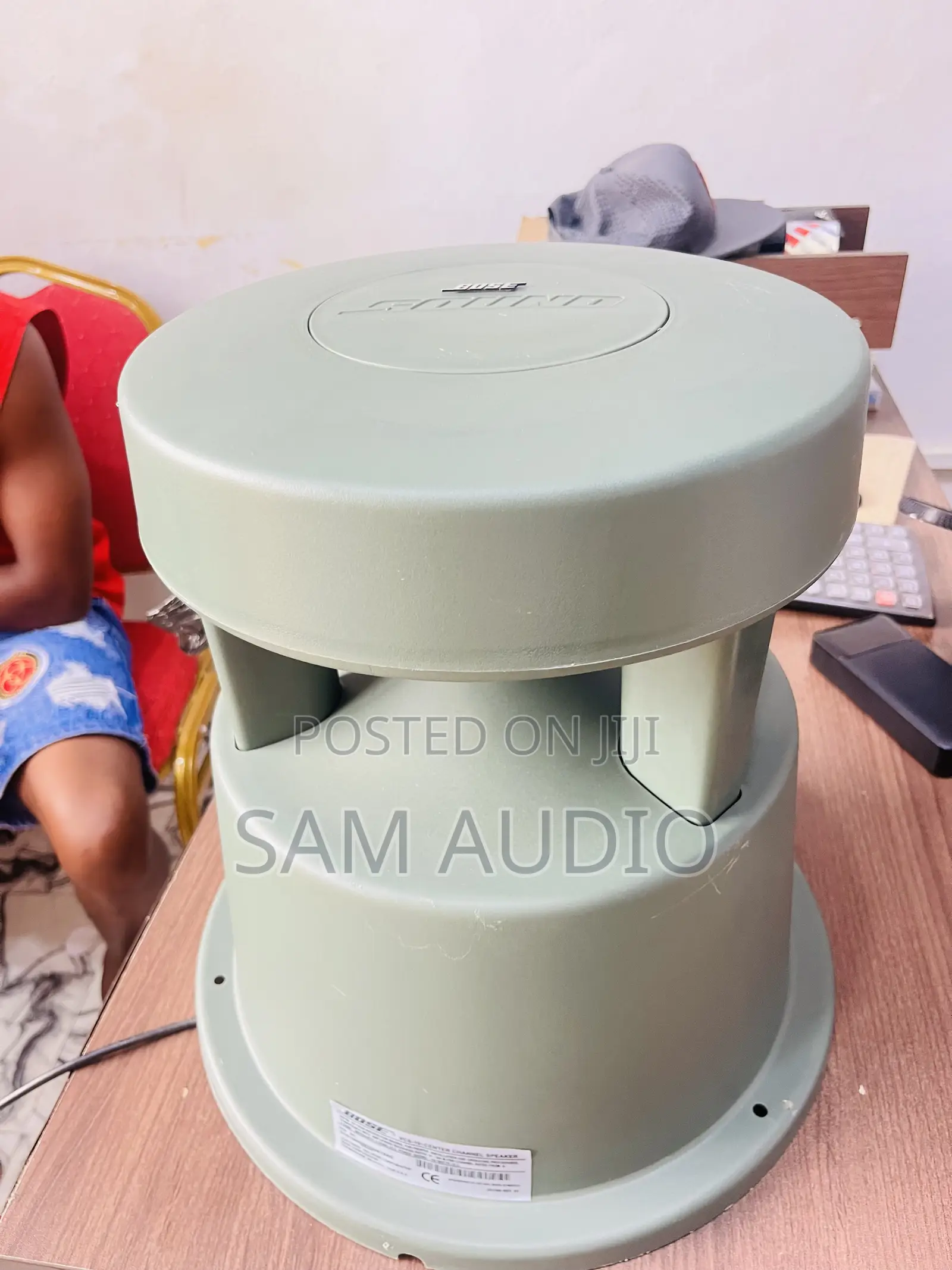BOSE Garden Speaker