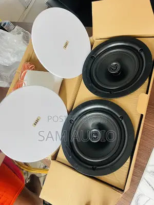 Dart 2 in 1 Celling Speakers System (100watts )