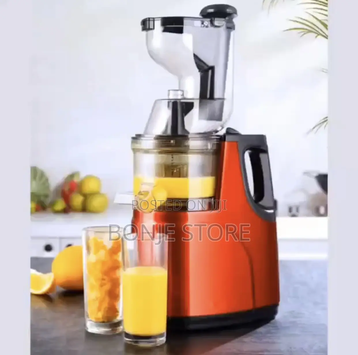 Camel Slow Juicer