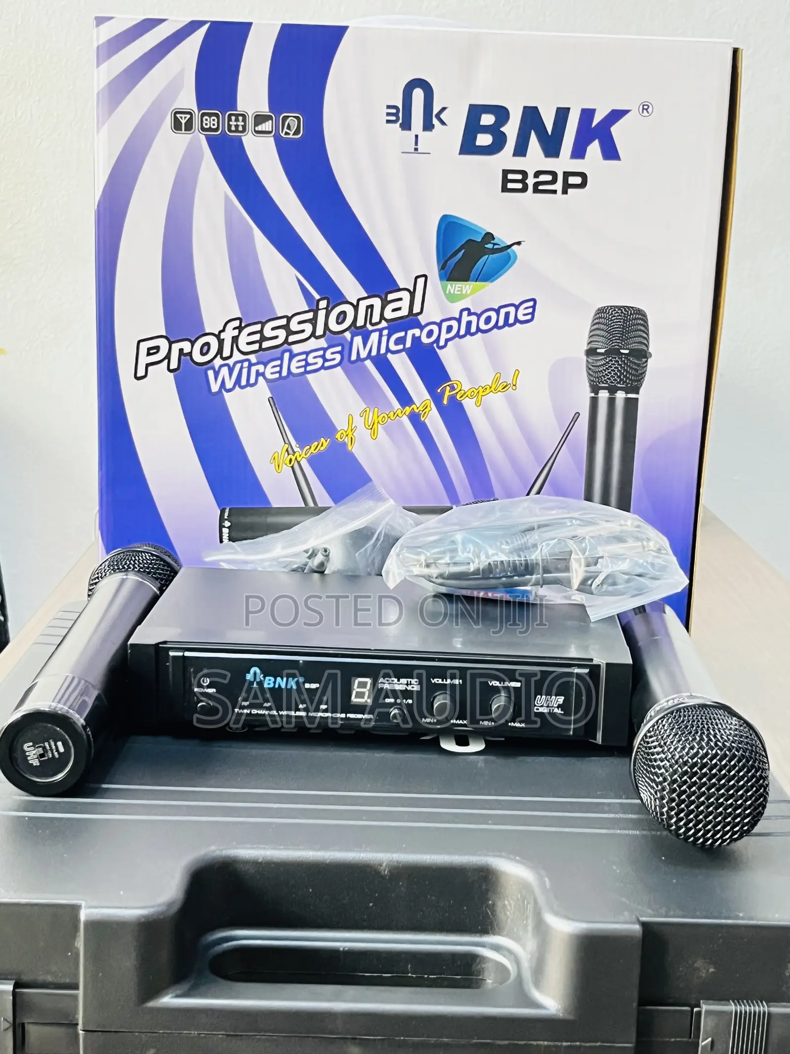 BNK B2p Professional Microphone