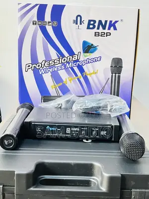 BNK B2p Professional Microphone