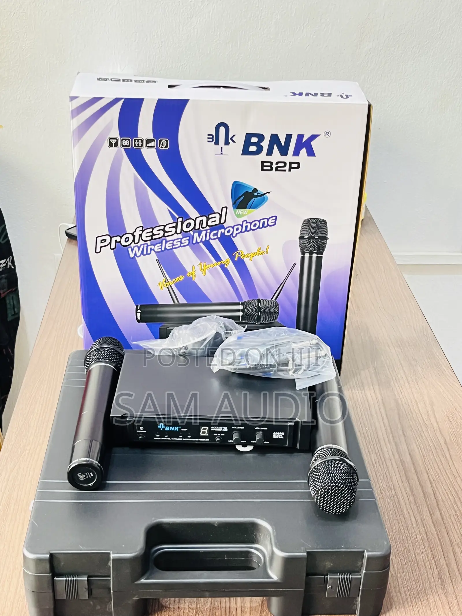 BNK B2p Professional Microphone