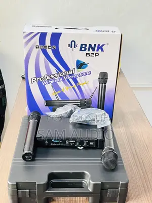 BNK B2p Professional Microphone