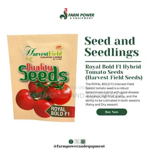 Tomato Seeds
