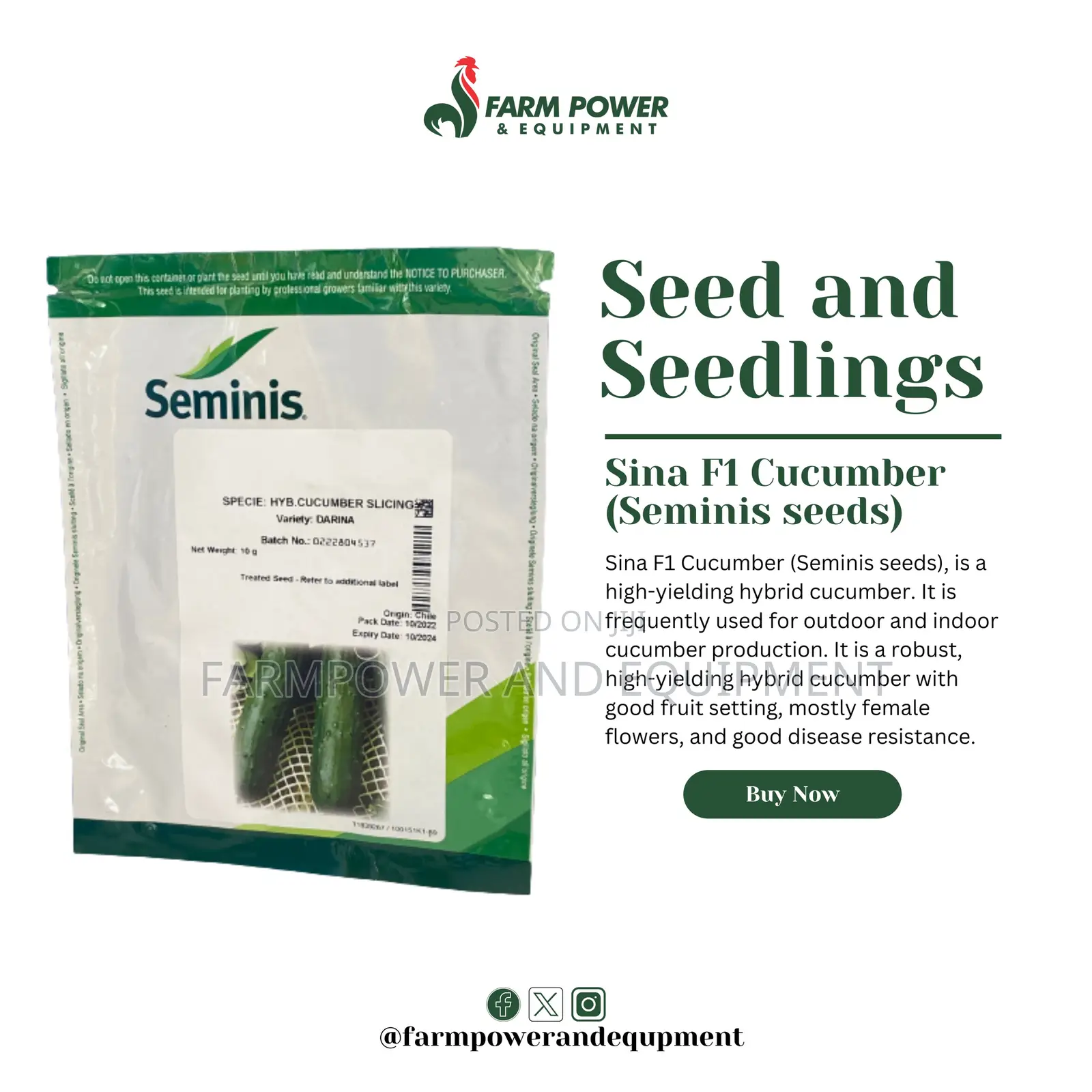 Tomato Seeds