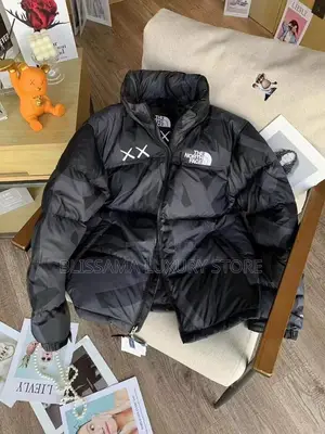 Luxury North Face Puffer Jacket